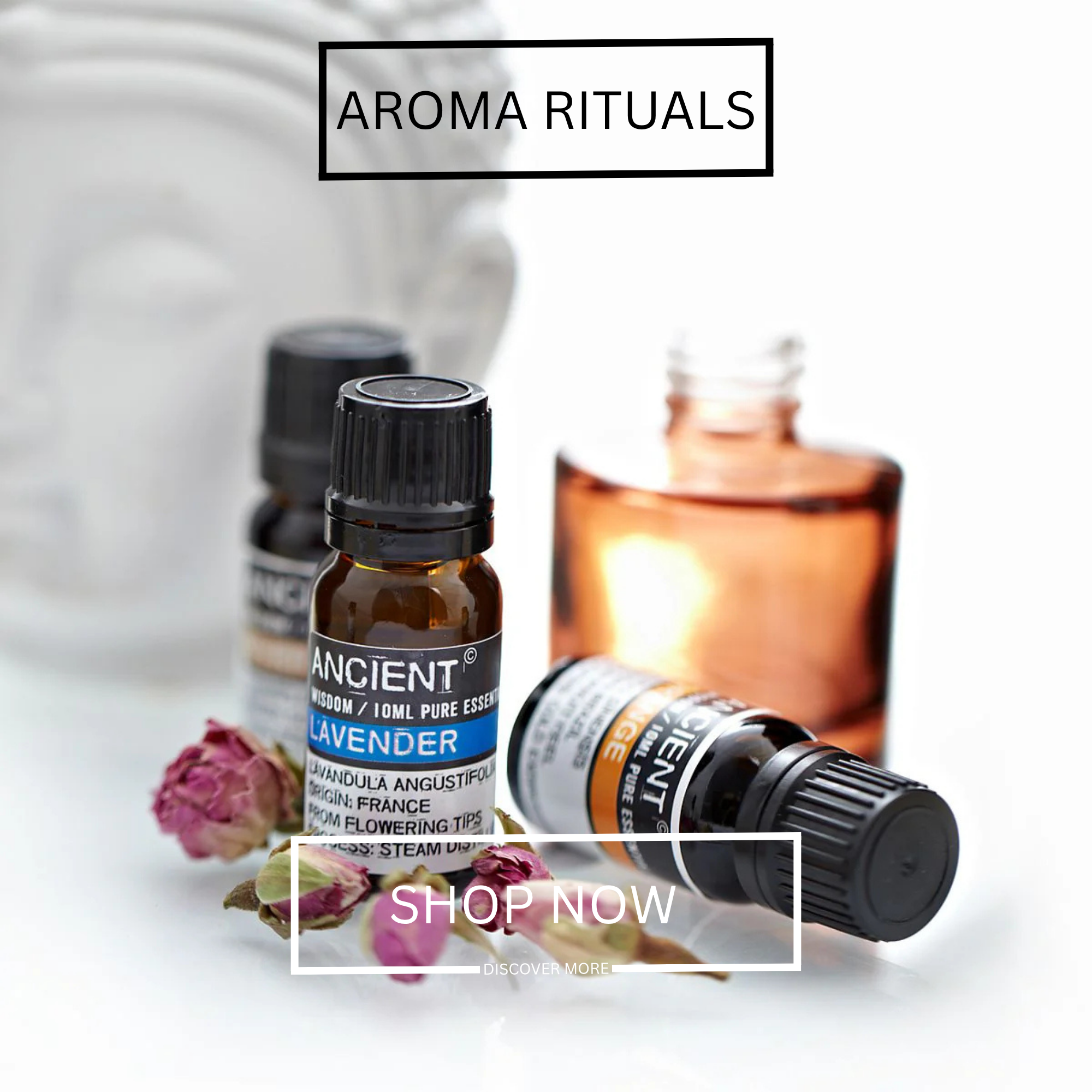 AROMA RITUALS