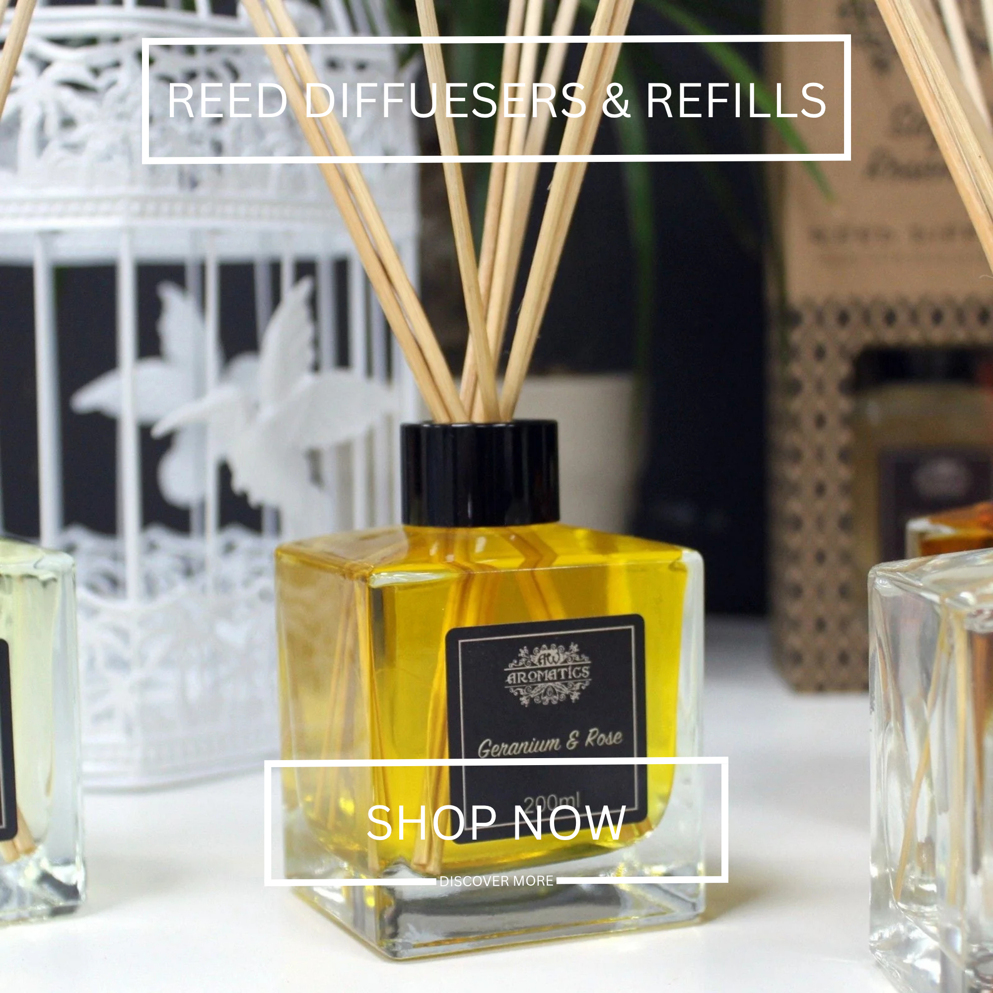 REED DIFFUESERS & REFILLS