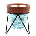Agnes + Cat Herb Garden Candle - Rosemary | Velora