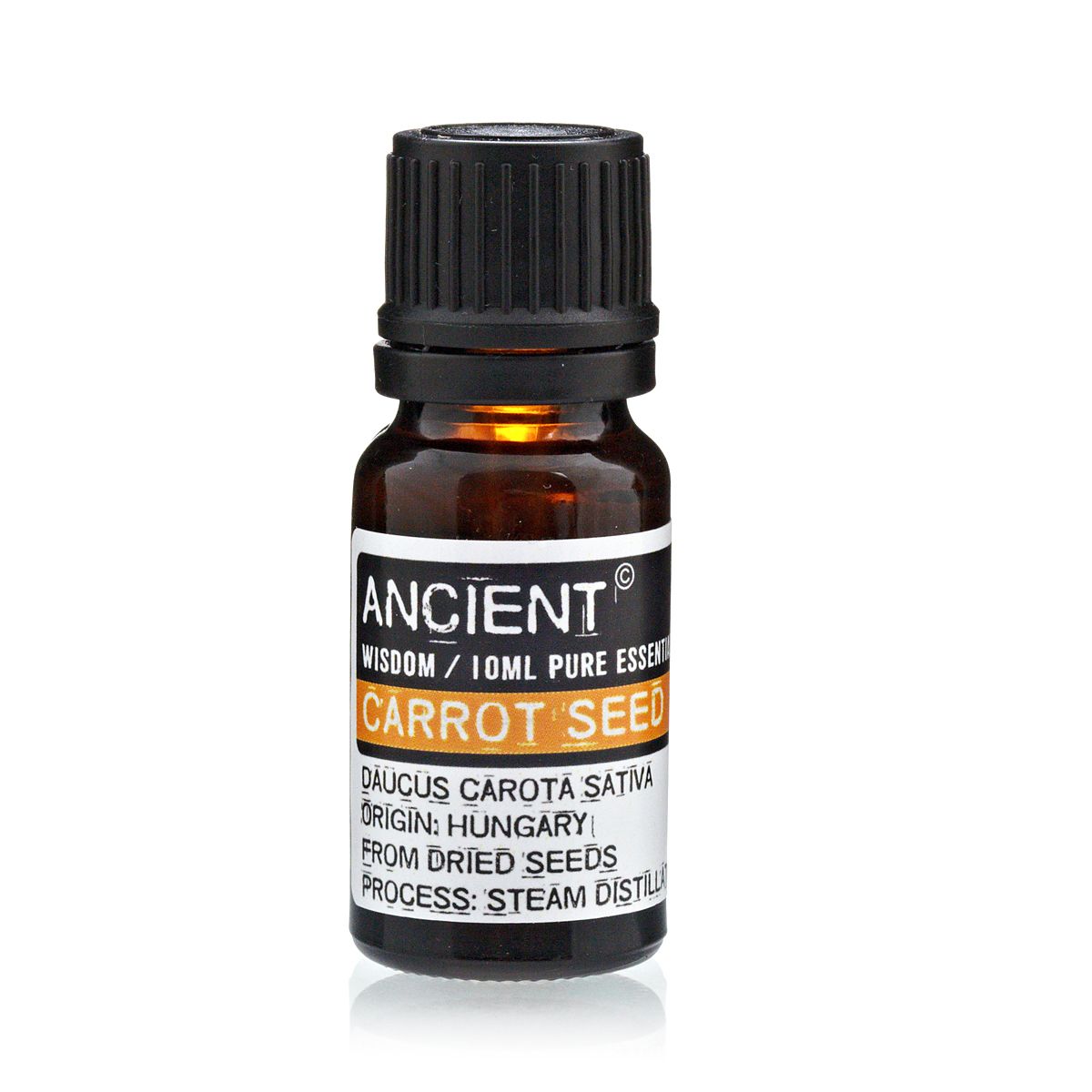 Carrot Seed Essential Oil 10ml - Steam Distilled | Velora