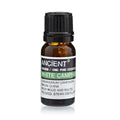 White Camphor Essential Oil 10ml - Steam Distilled | Velora