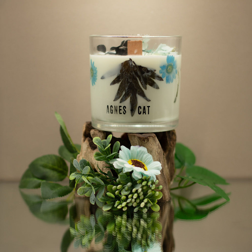 Agnes + Cat Botanical Soy Wax Candle - Seasalt & Moss | Velora