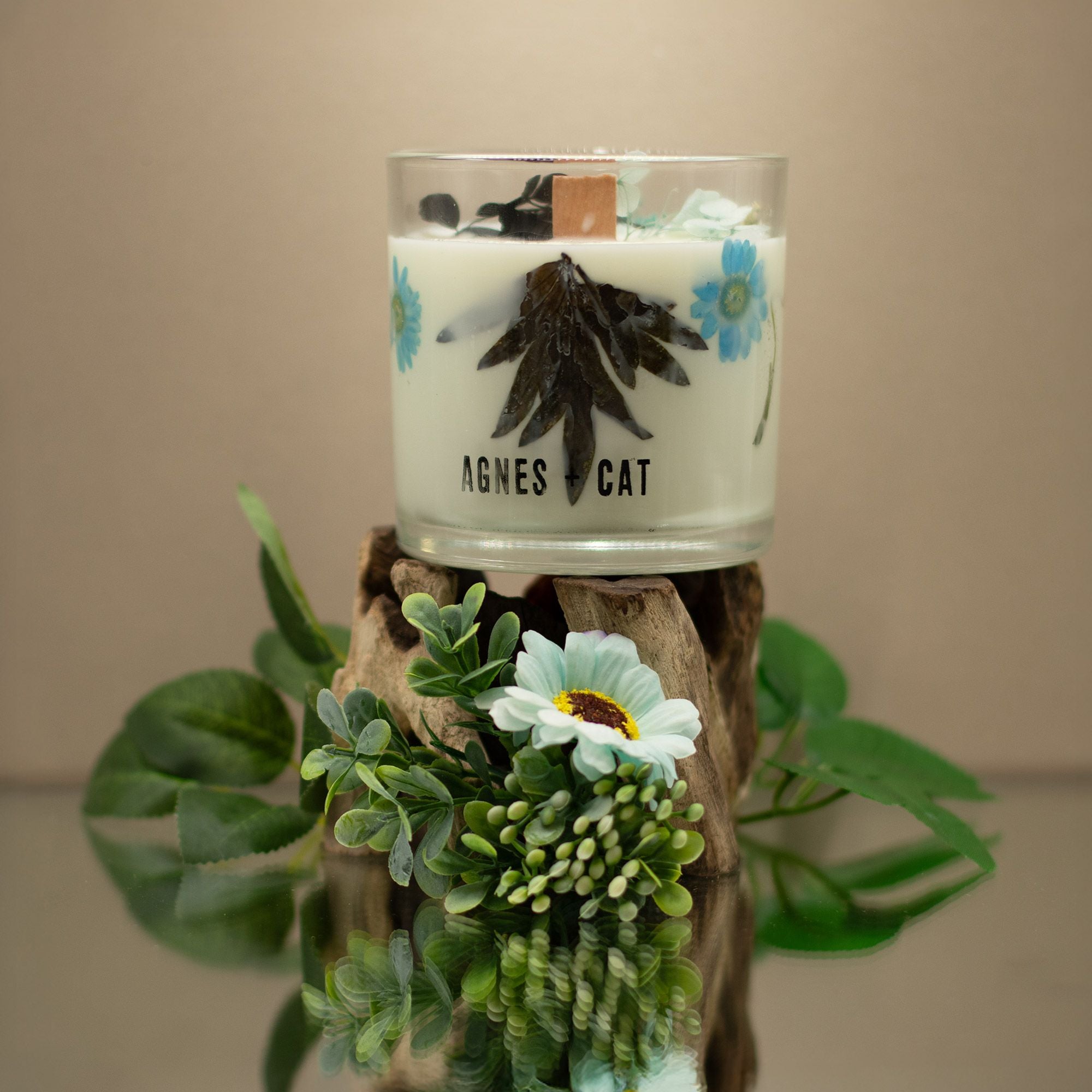 Agnes + Cat Botanical Soy Wax Candle - Seasalt & Moss | Velora
