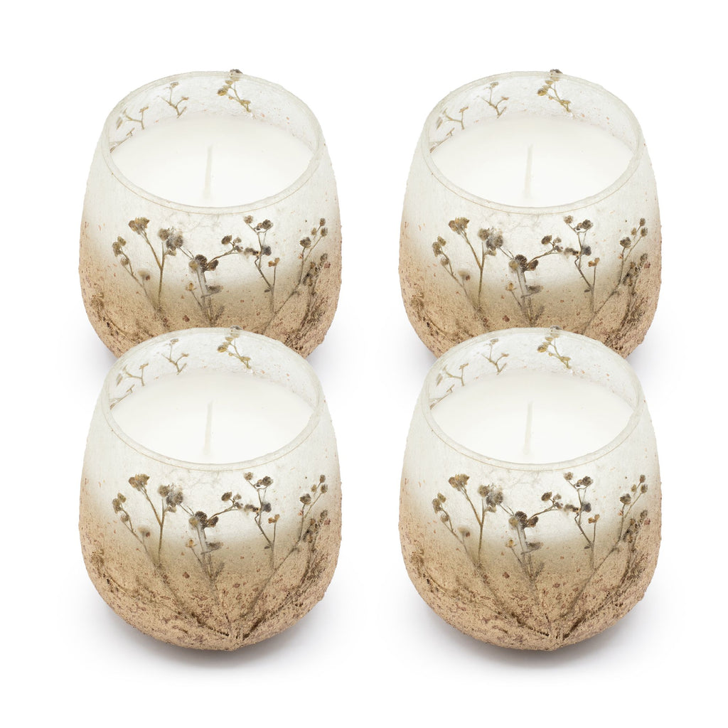 Medium Glass Jar Candle - Wildlight Woods | Velora