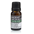 Scots Pine Essential Oil 10ml - Dry Distilled | Velora