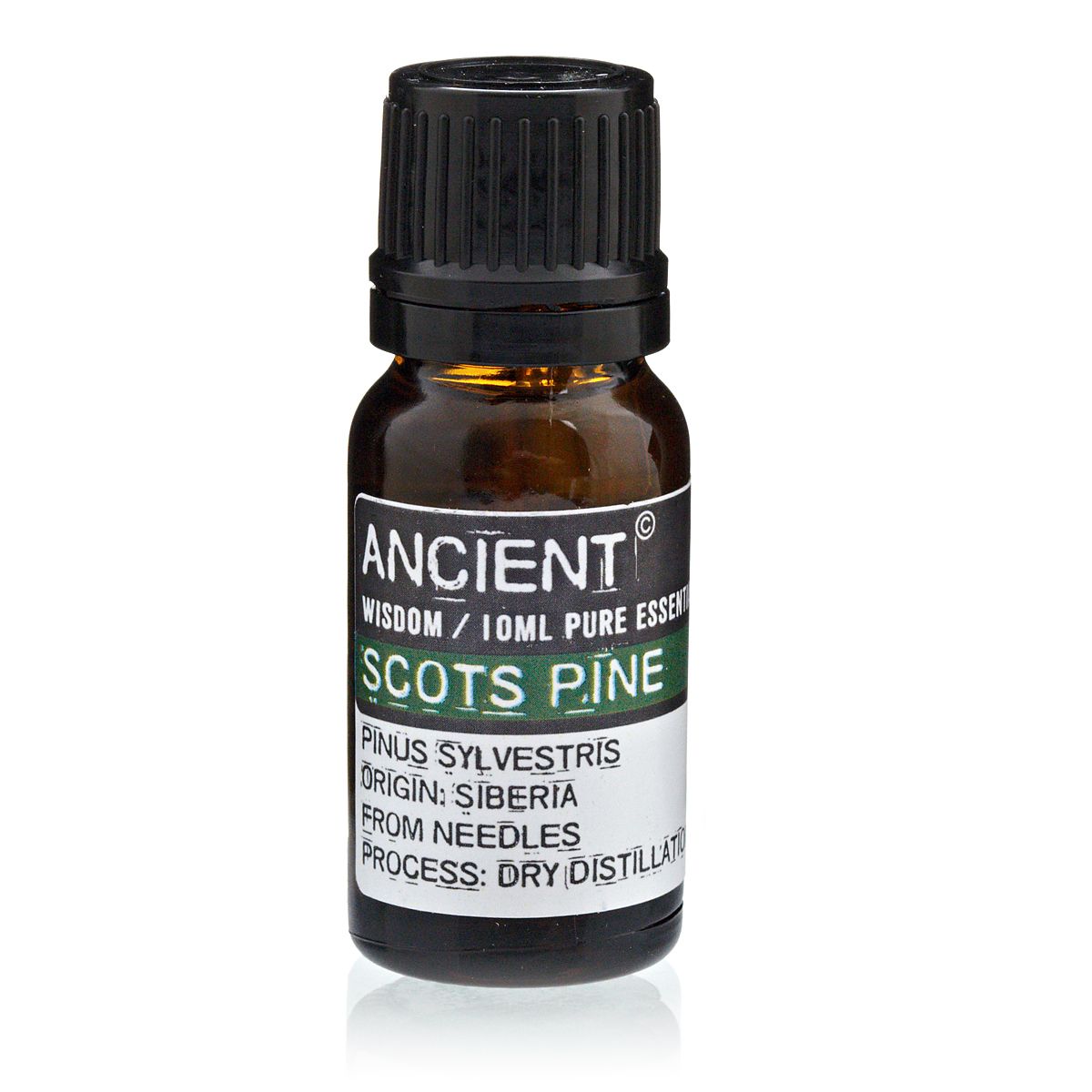 Scots Pine Essential Oil 10ml - Dry Distilled | Velora