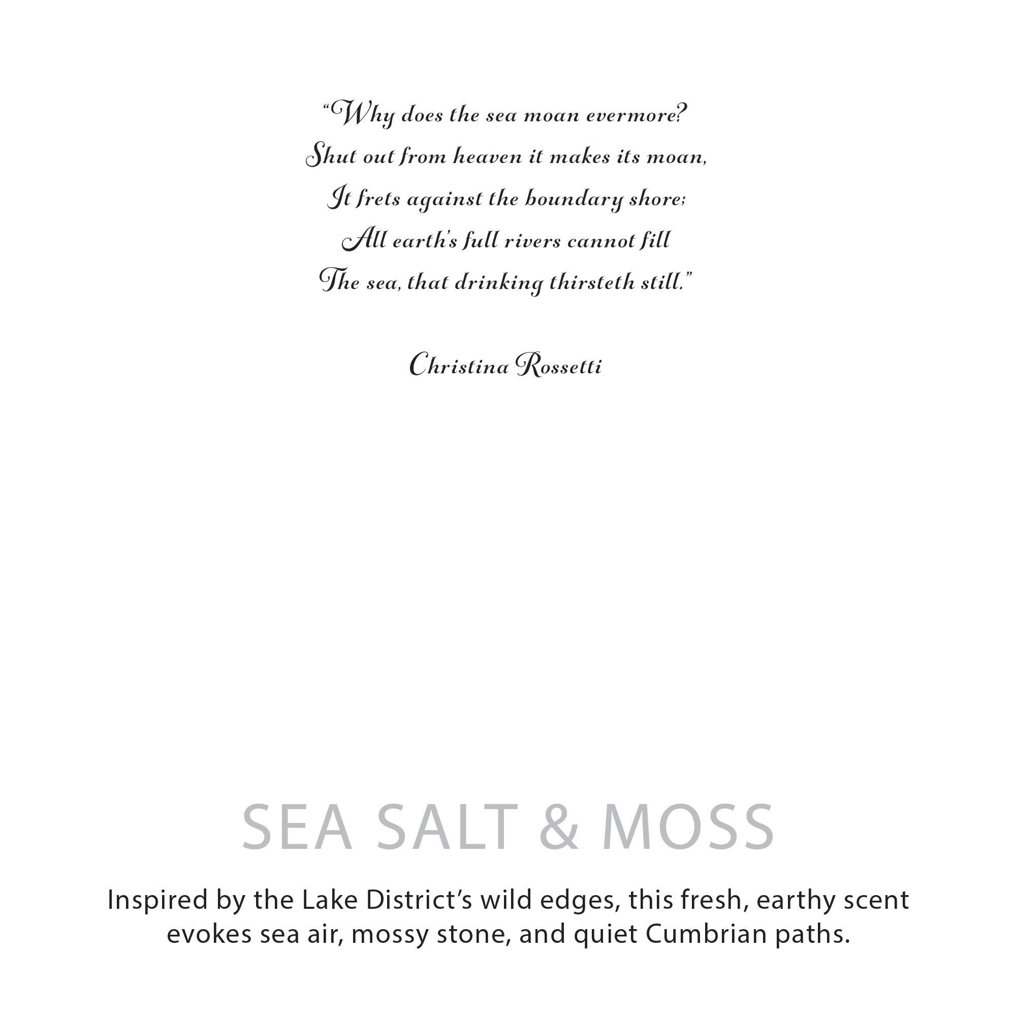 Agnes + Cat Botanical Soy Wax Candle - Seasalt & Moss | Velora