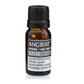 Sage Essential Oil 10ml - Steam Distilled | Velora