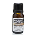 Fennel Essential Oil 10ml - Steam Distilled | Velora