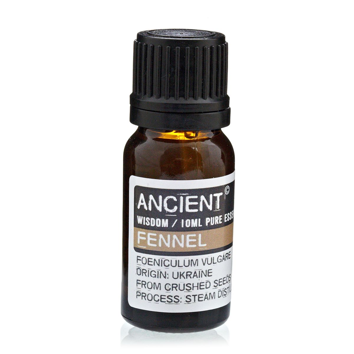 Fennel Essential Oil 10ml - Steam Distilled | Velora