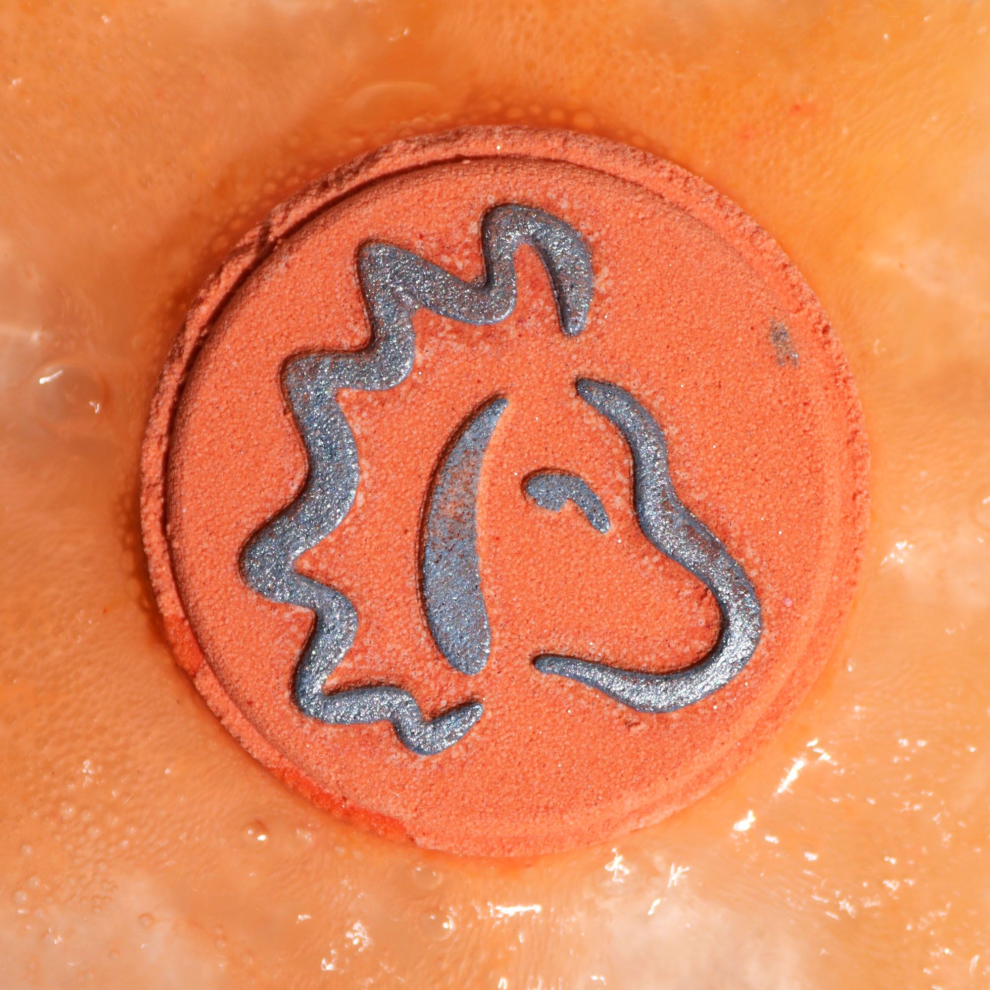 Leo Zodiac Bath Fizzers with Horoscope | Set of 2 | Velora