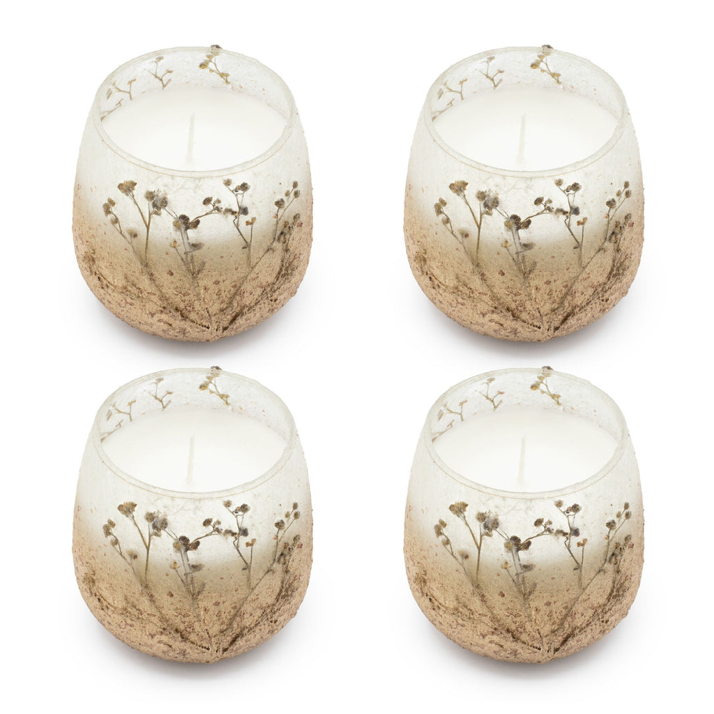 Small Glass Jar Candle - Wildlight Woods | Velora